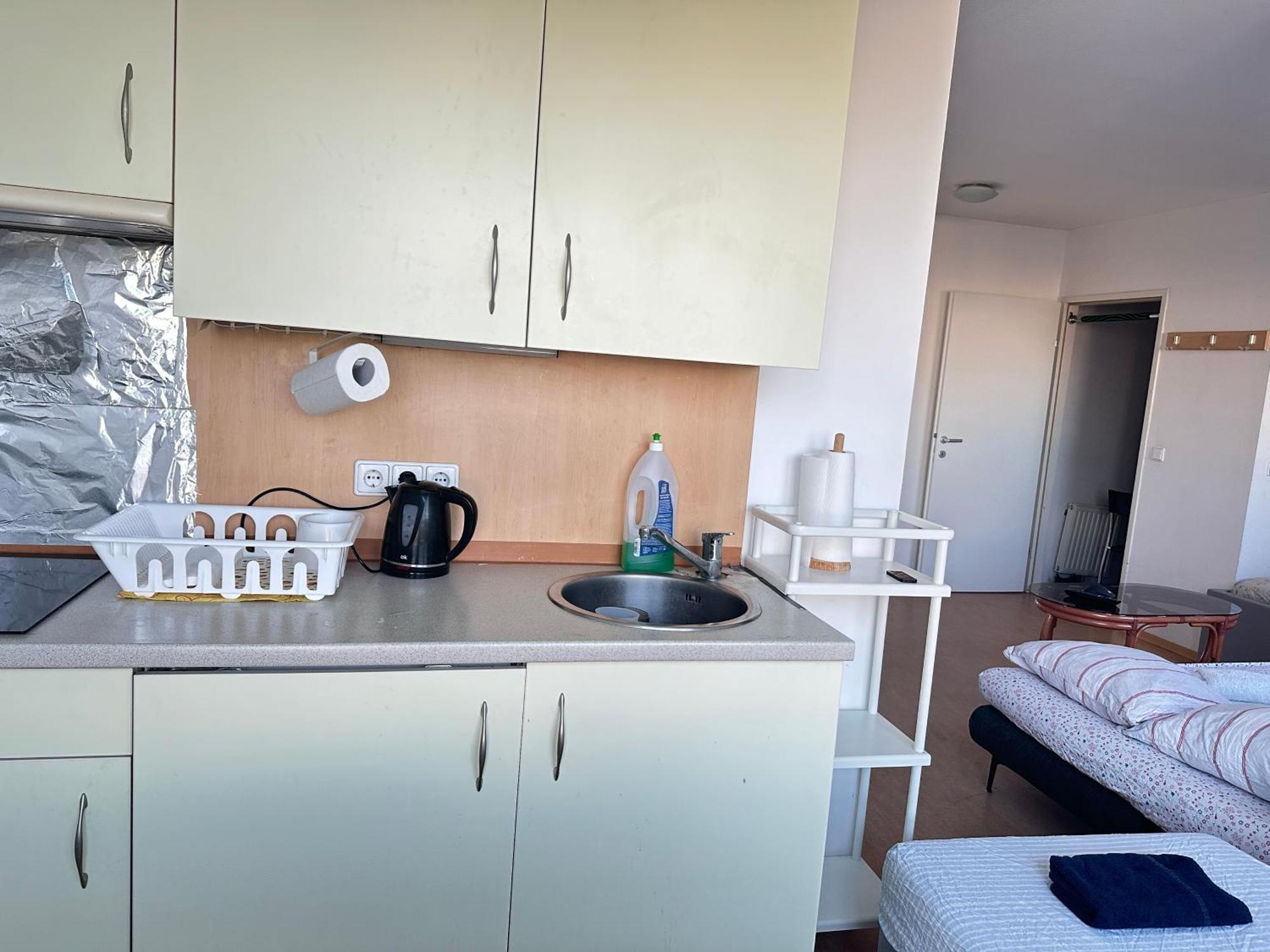 Apartment Cozy Bright Penthouse Close To U1 And U6 Metros *