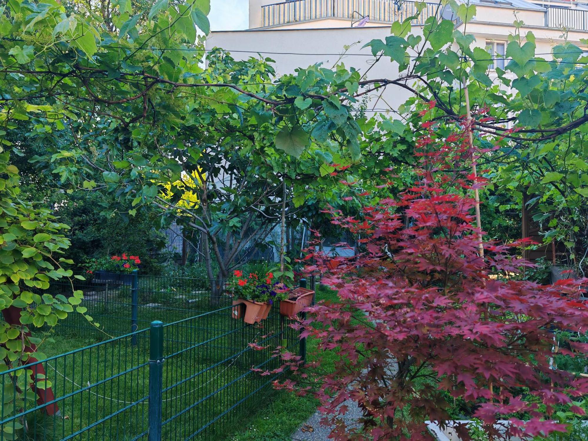 Leopoldauer Vienna