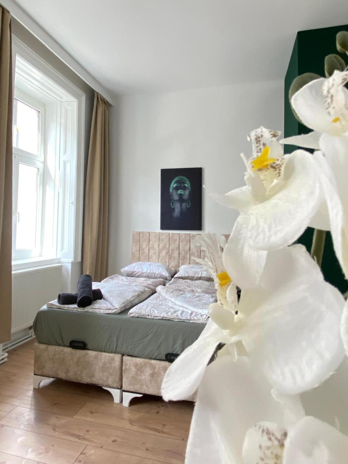 Apartment 8 Fully Equipped Studio Shared Apt W Terrace Margareten