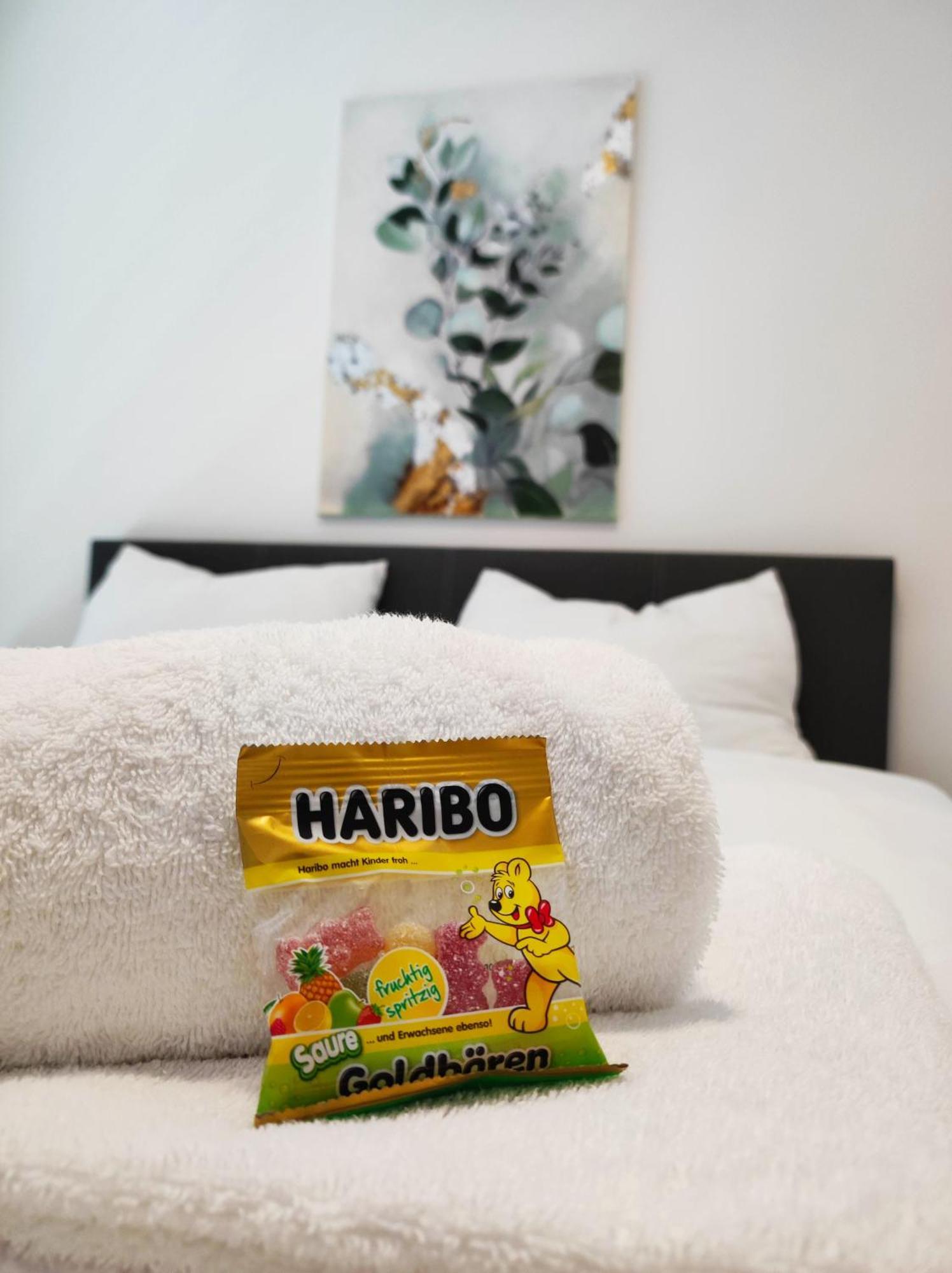 Apartment Roksox-home Gegenueber Des International Center Und Kaiserwasser