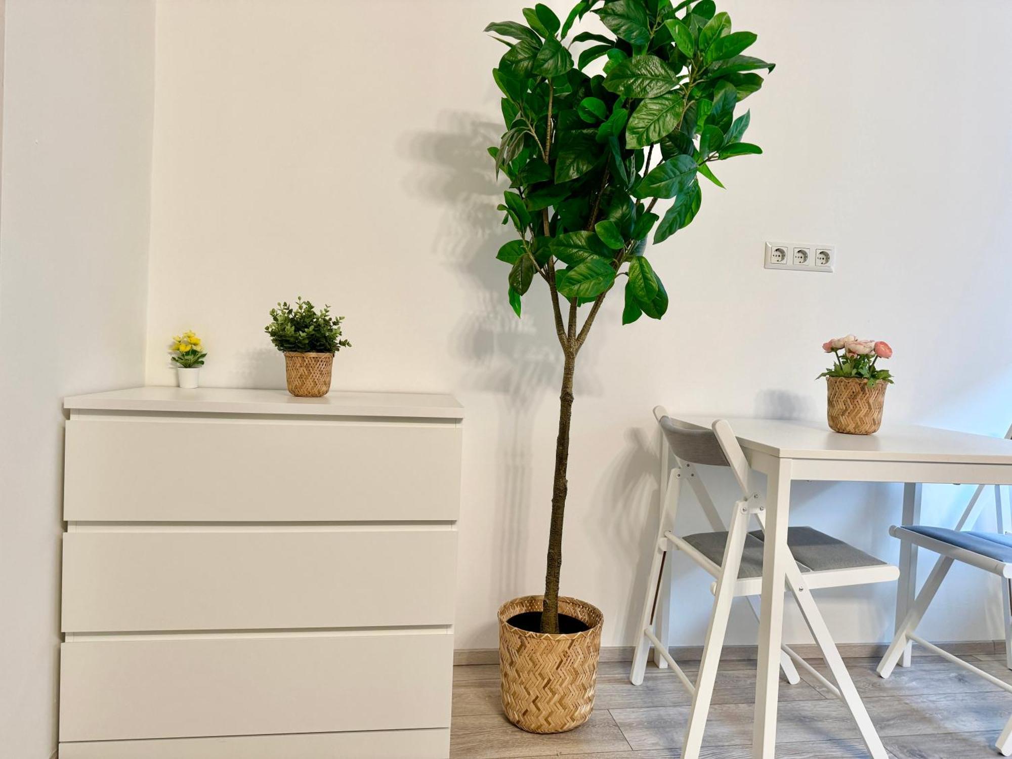 Apartment Stylish Schonbrunn - Free Underground Parking *