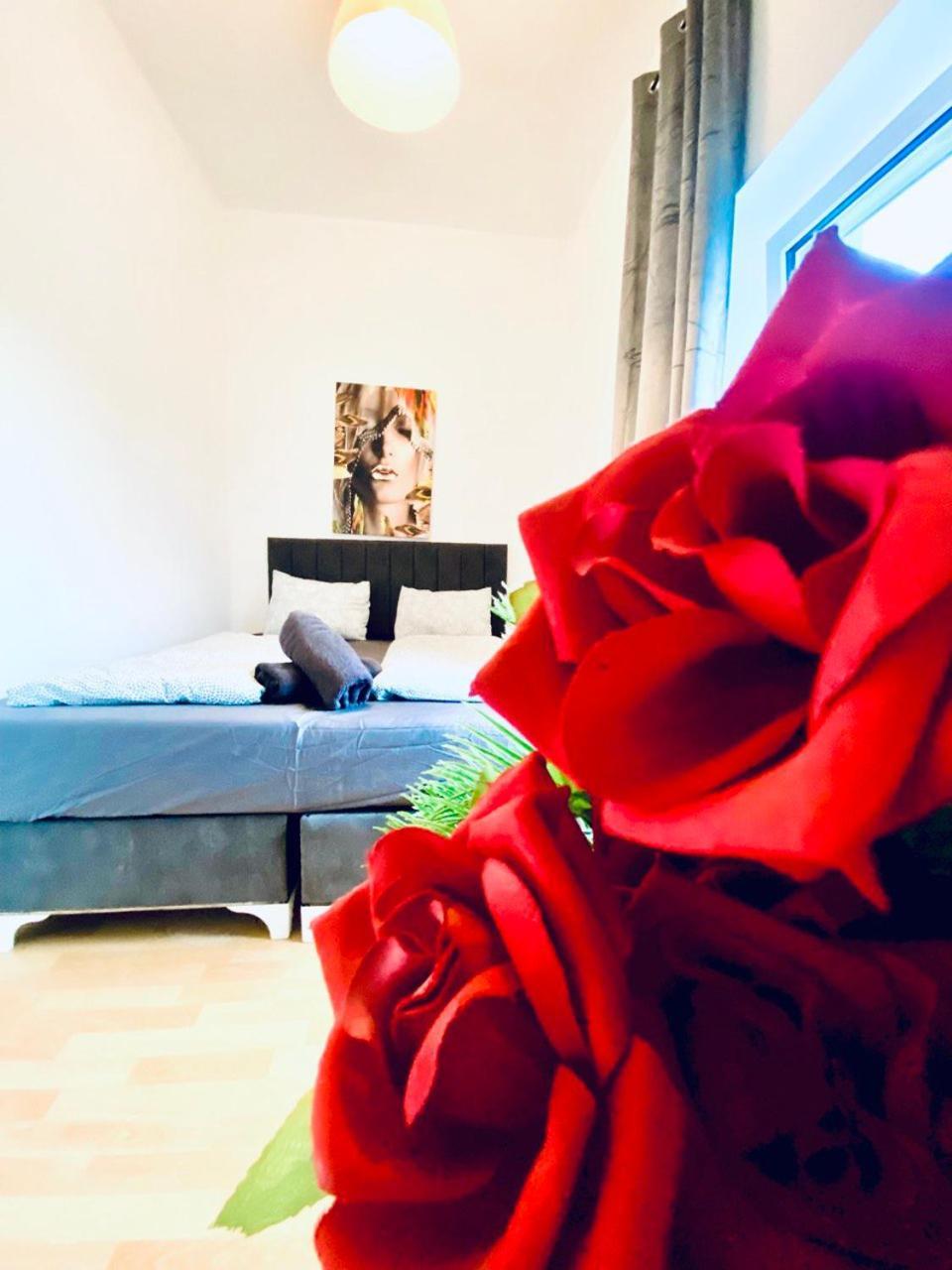 Homestay Cozy In The 23rd District Of Fr5 *