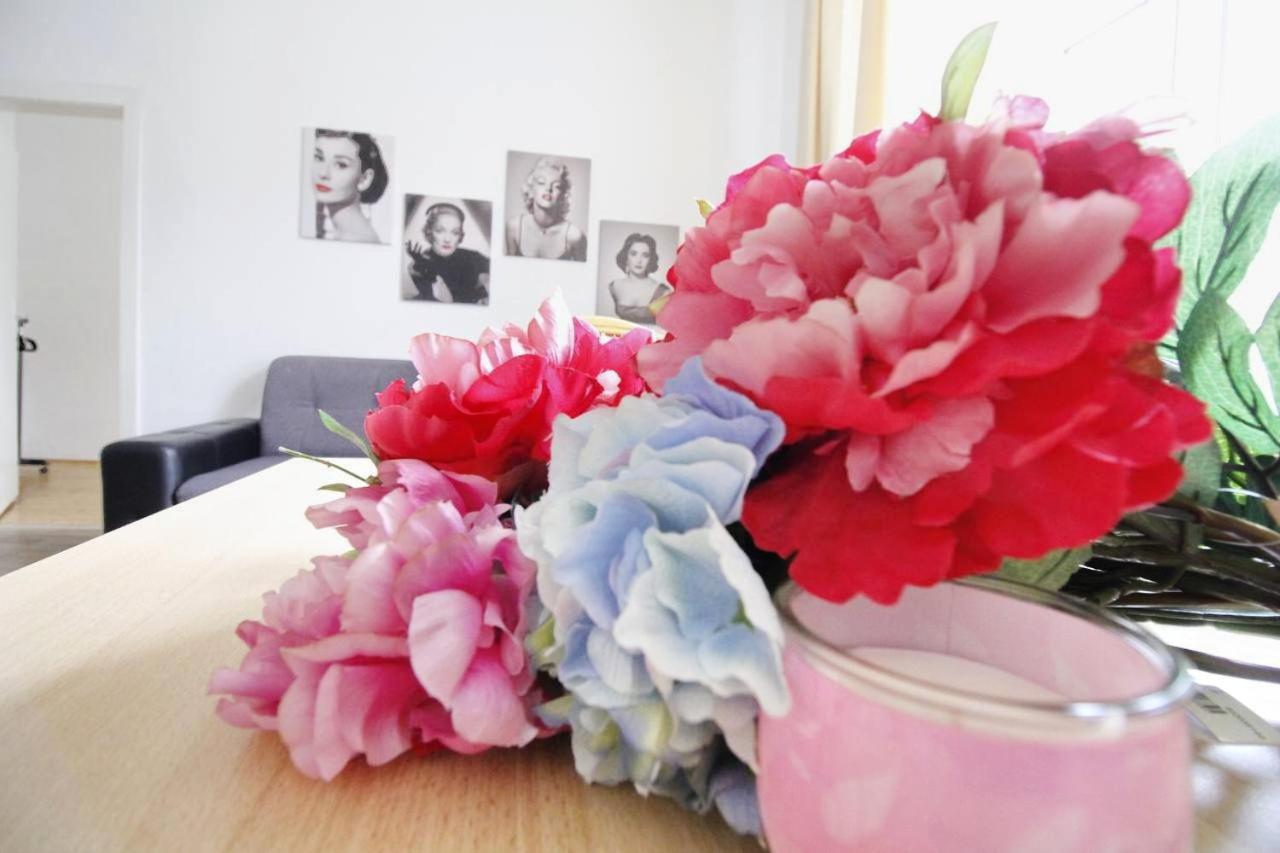 Comfortable Near Schoenbrunn Palace Hl Hospedagem domiciliar *