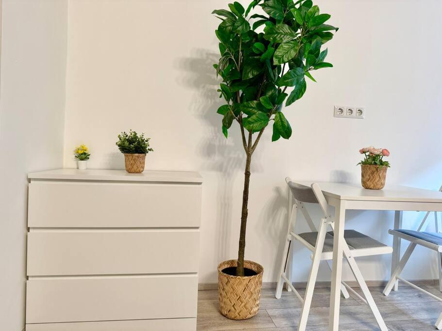 Easy - Free Underground Parking Apartment