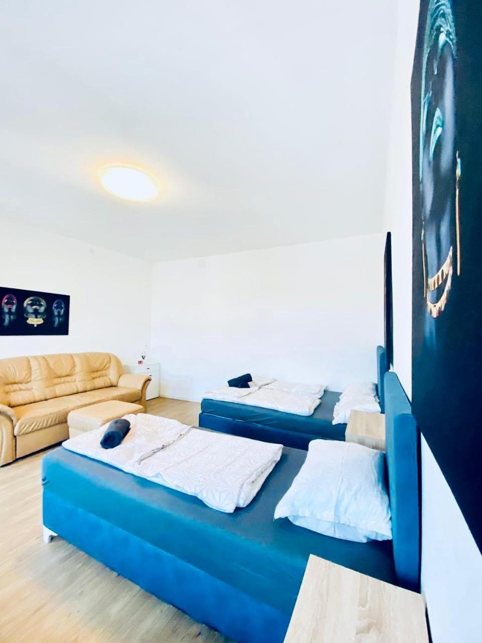 Spacious 4br Apt, Up To 15p 15min To Danube River Viena