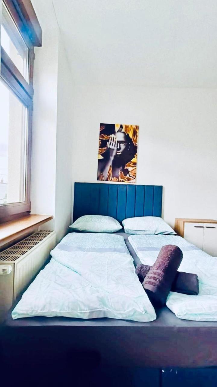 Spacious 4br Apt, Up To 15p 15min To Danube River Viena