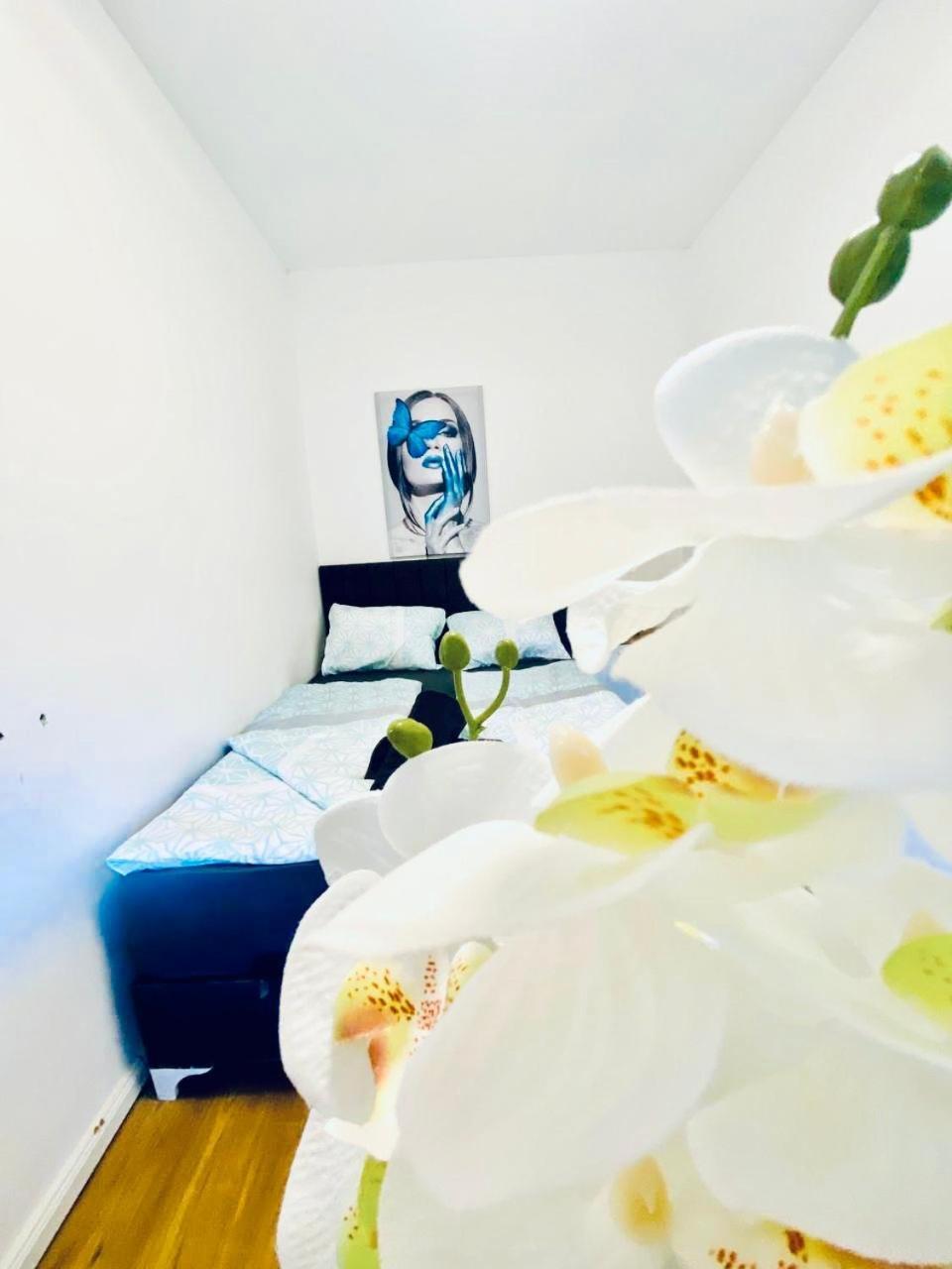Spacious 4br Apt, Up To 15p 15min To Danube River Apartamento