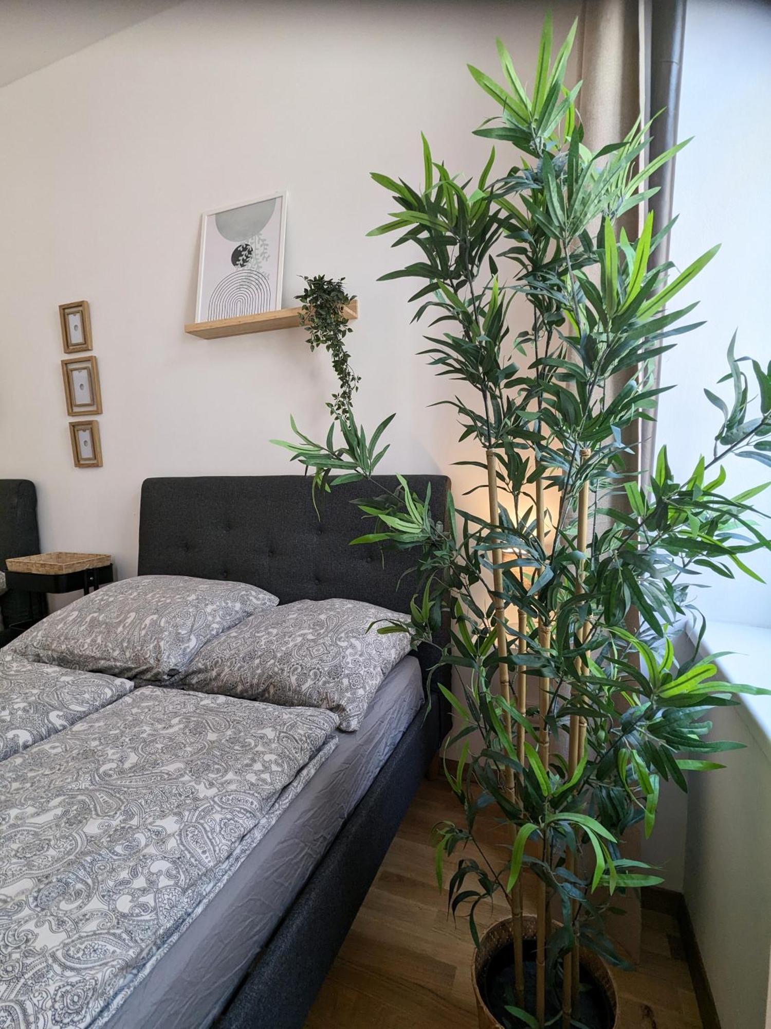 Renovated - 10 Min To Center Apartment *