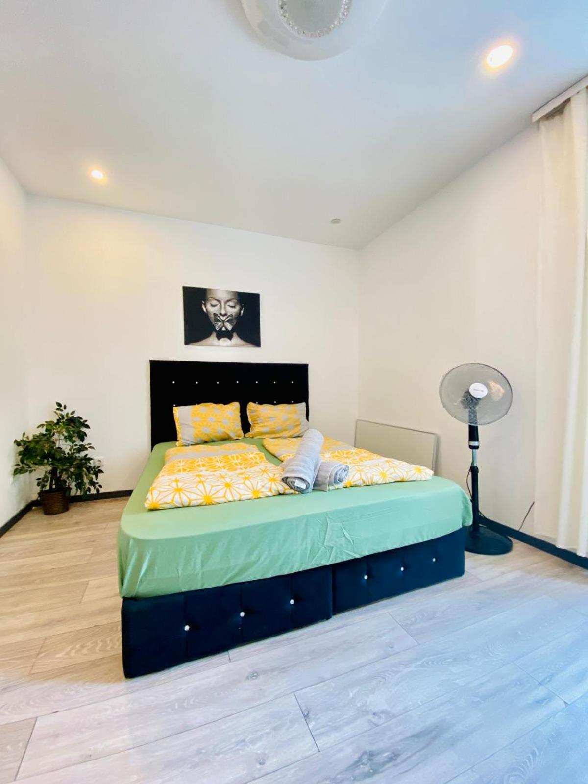 Apartment Cute 1br - 10 Mins Walk From Downtown Vienna