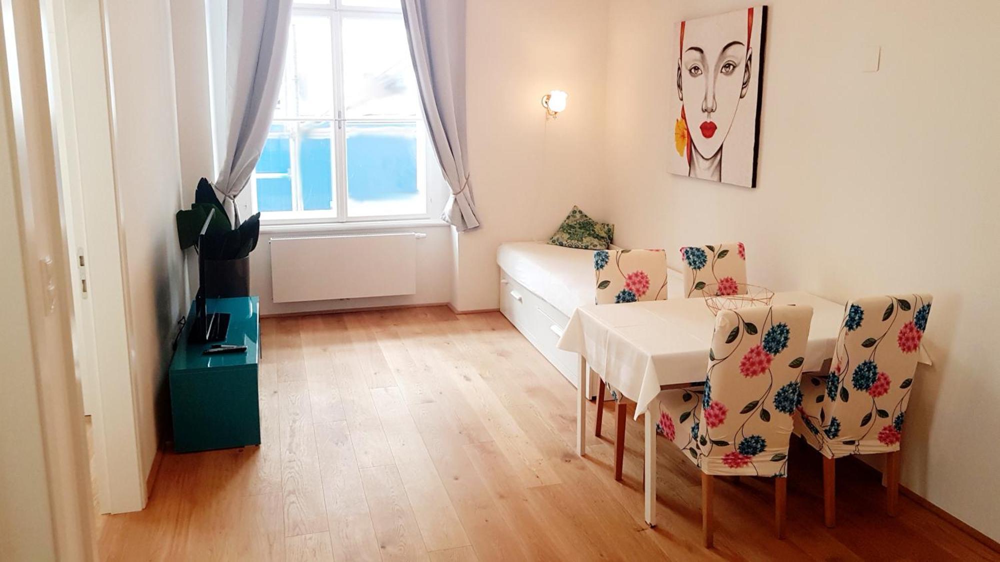 Apartment Sobieski District-1 Ring *