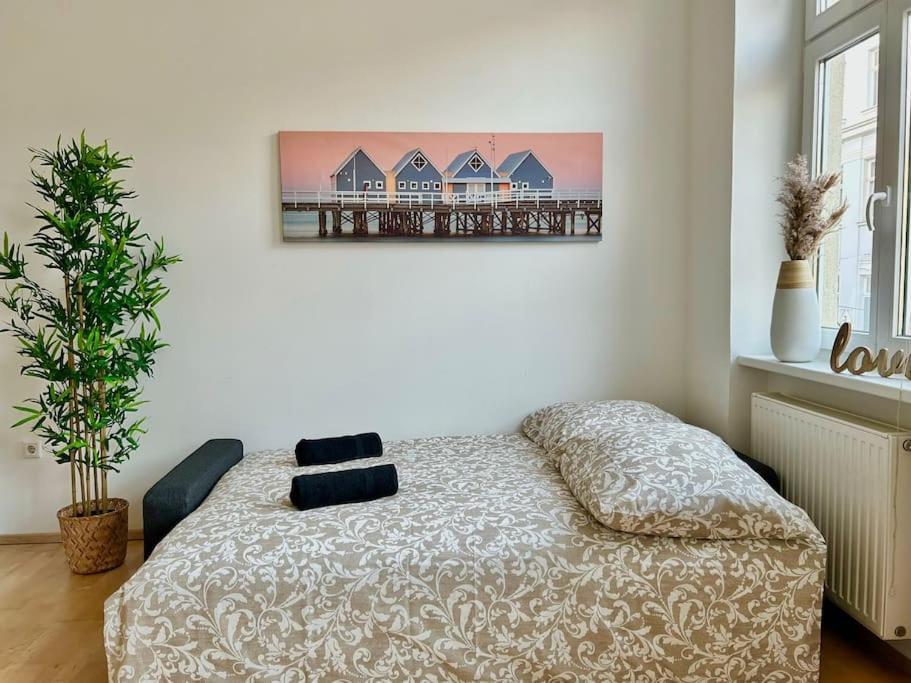 50 M2