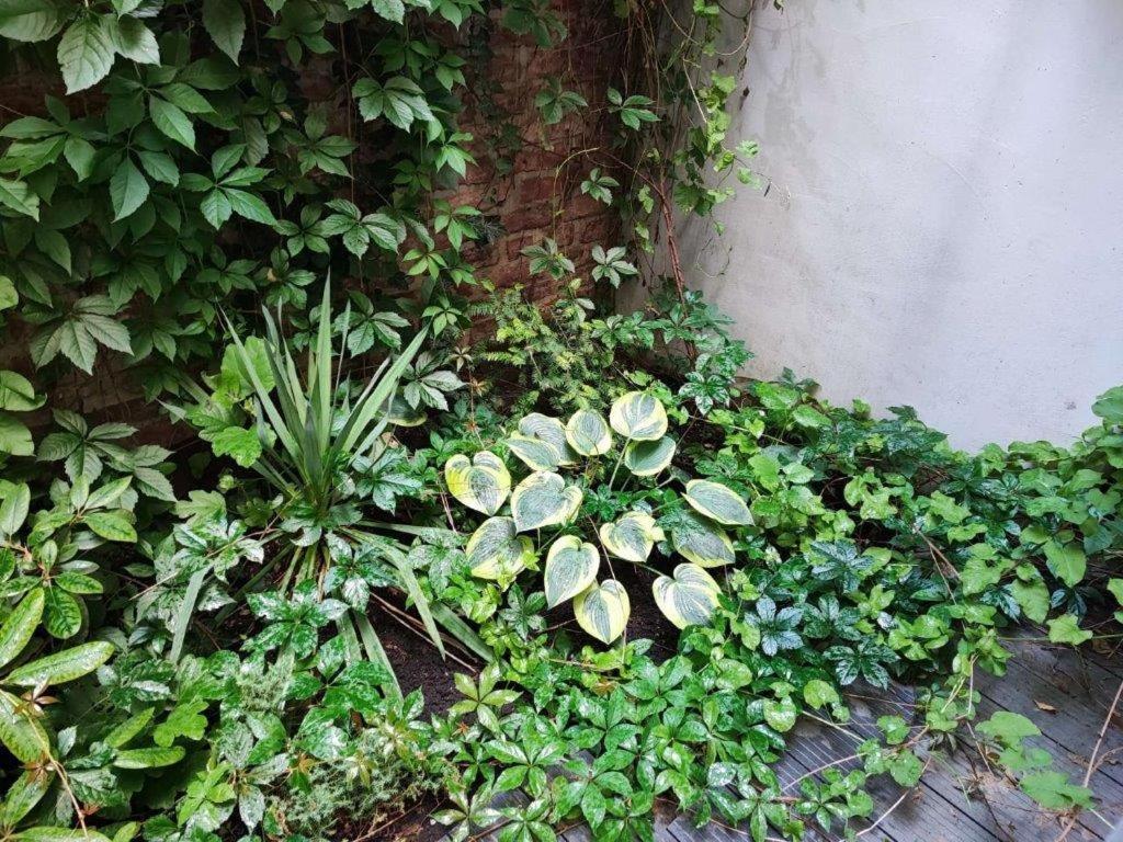 With Unique 40m2 Garden & Self Check In * Vienna