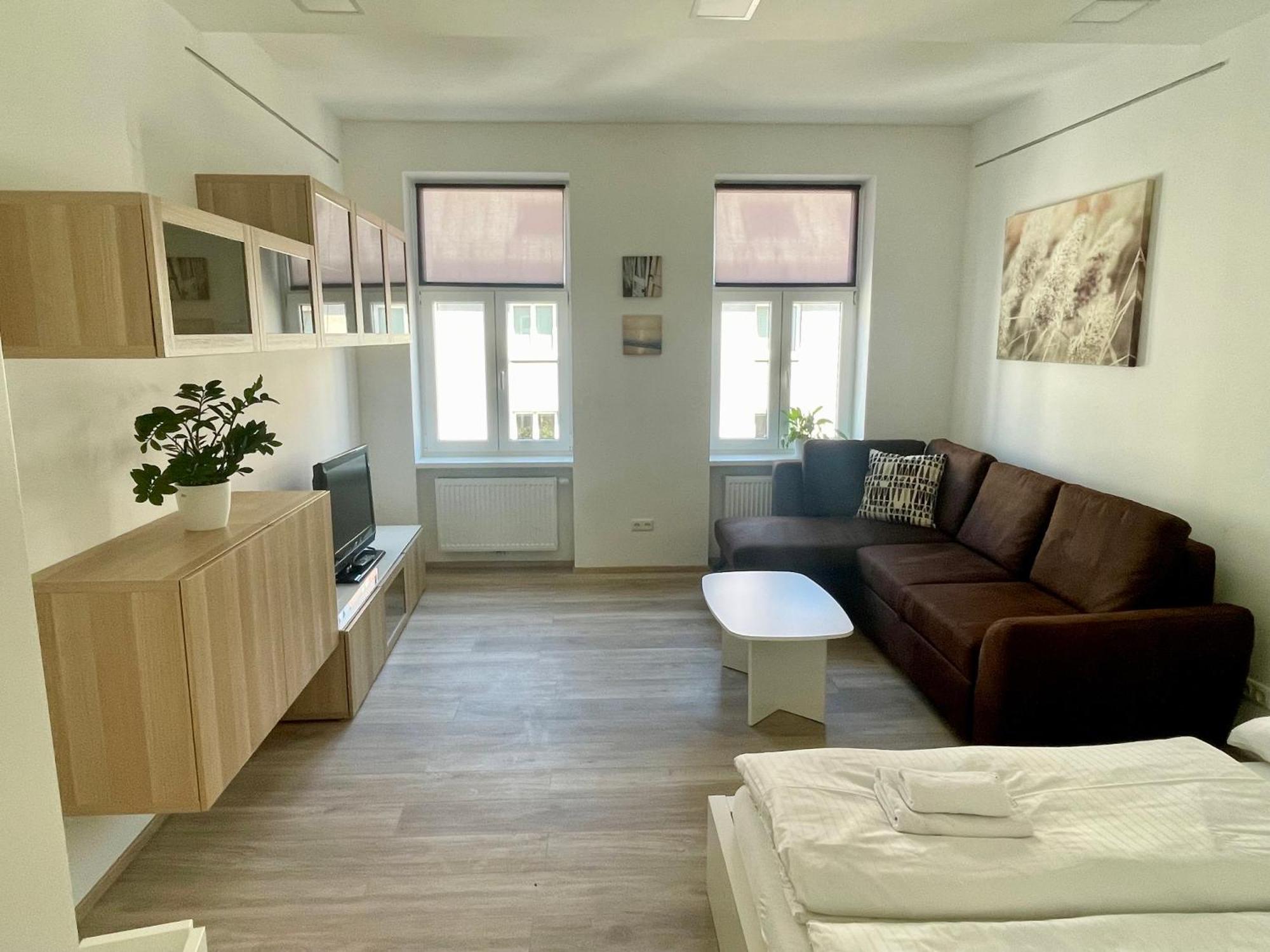Kleine Studiowohnung In Der Braunhirschengasse Vienna