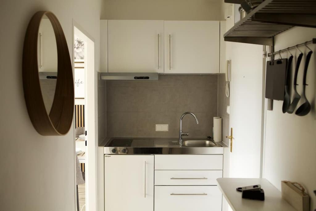 Apartment Rooftop With Balcony & Ac Vienna