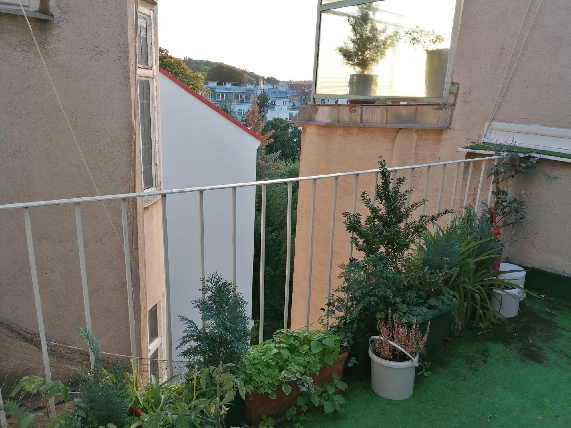 Apartment Bioparadies