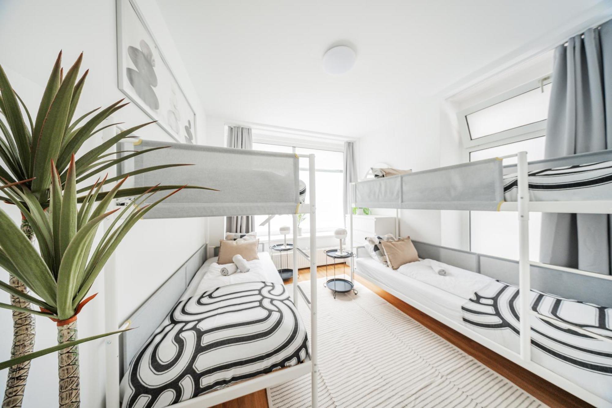Lofts Viena