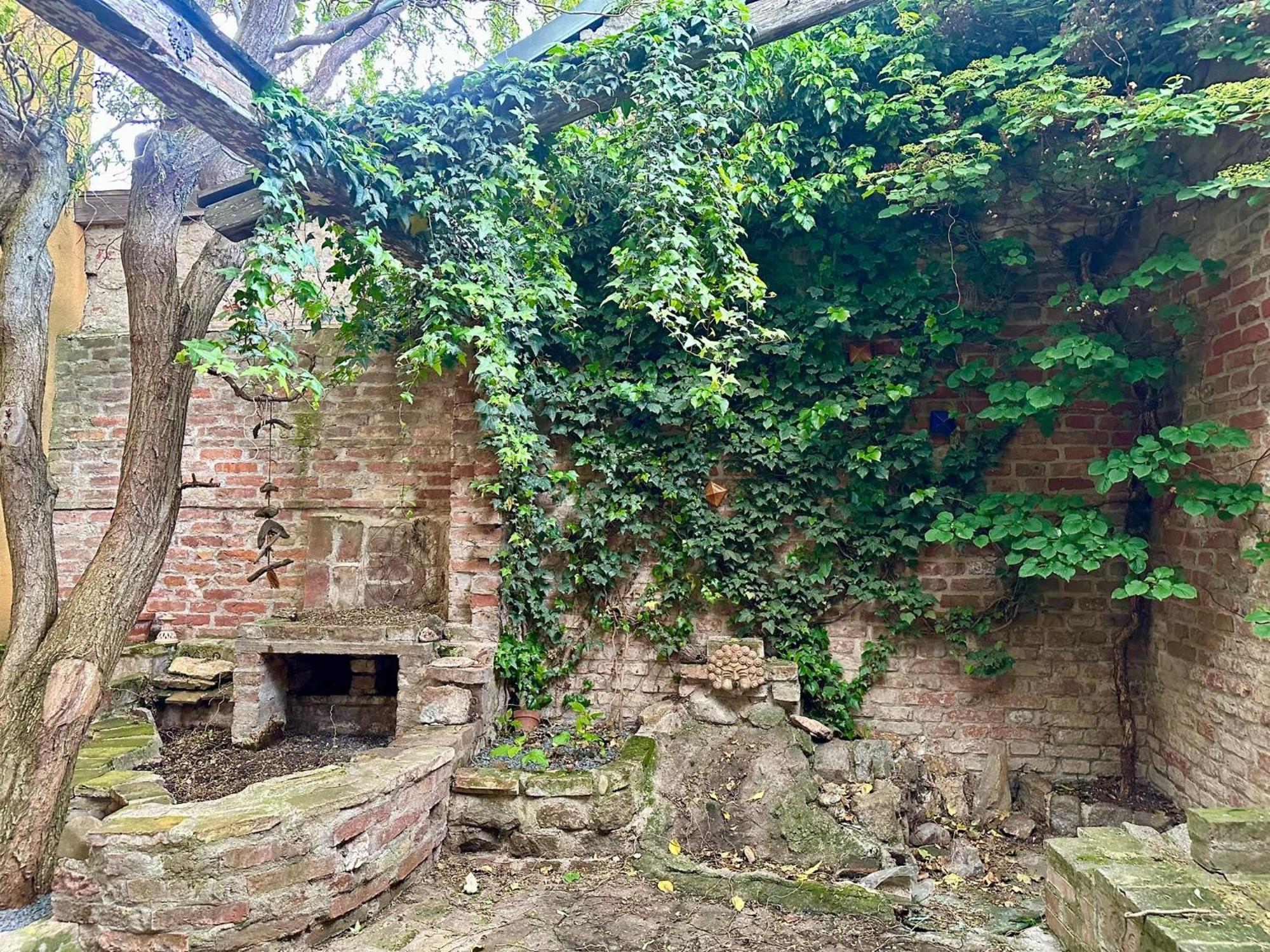 Hidden Garden - Spacious Modern - 1 Min To City Shuttle Apartment