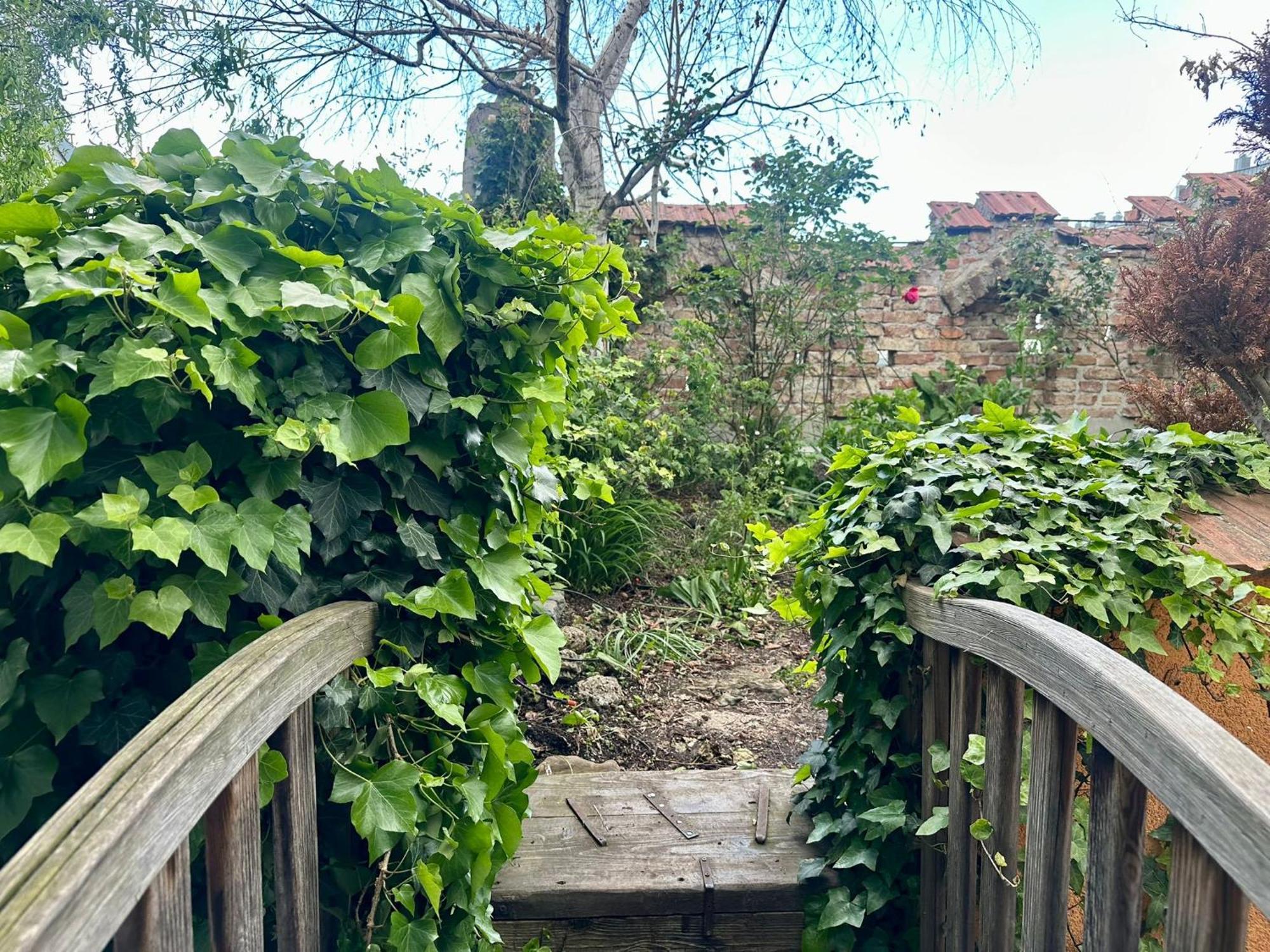 Hidden Garden - Spacious Modern - 1 Min To City Shuttle *