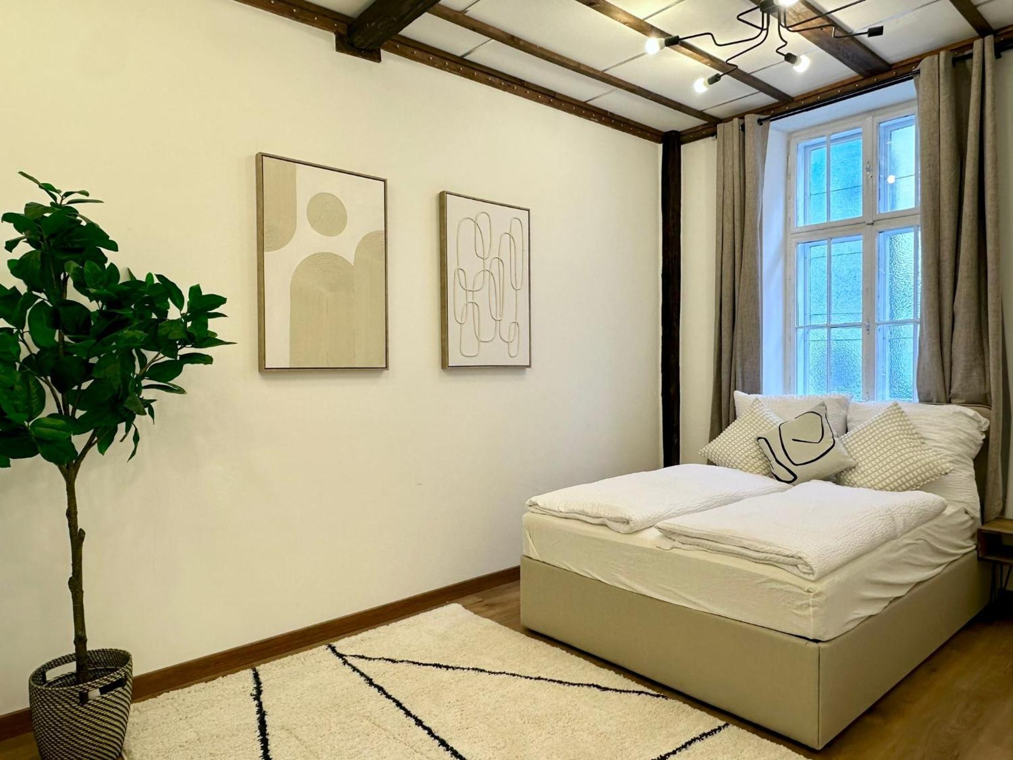Hidden Garden - Spacious Modern - 1 Min To City Shuttle Vienna