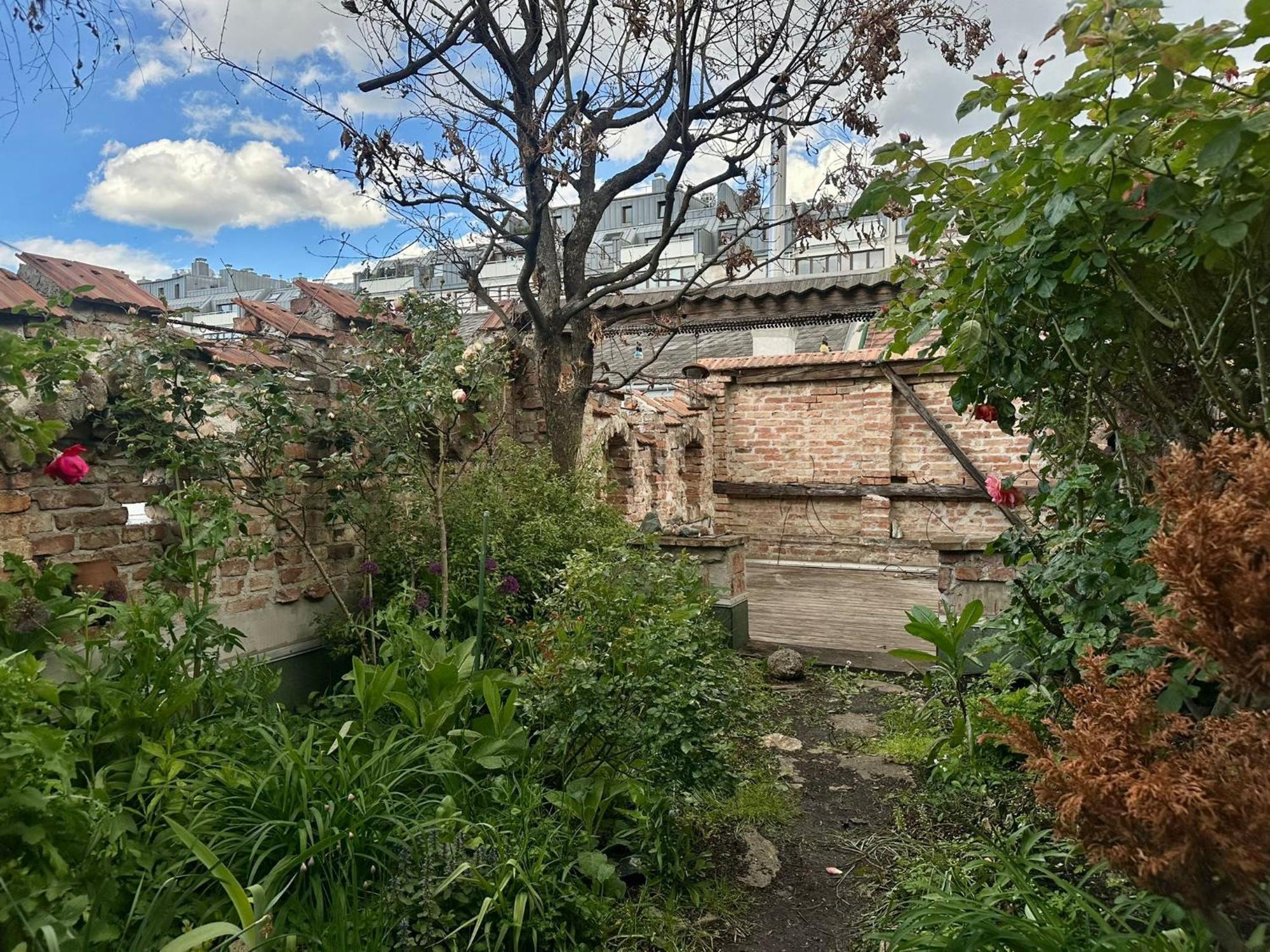 Hidden Garden - Spacious Modern - 1 Min To City Shuttle Apartment *