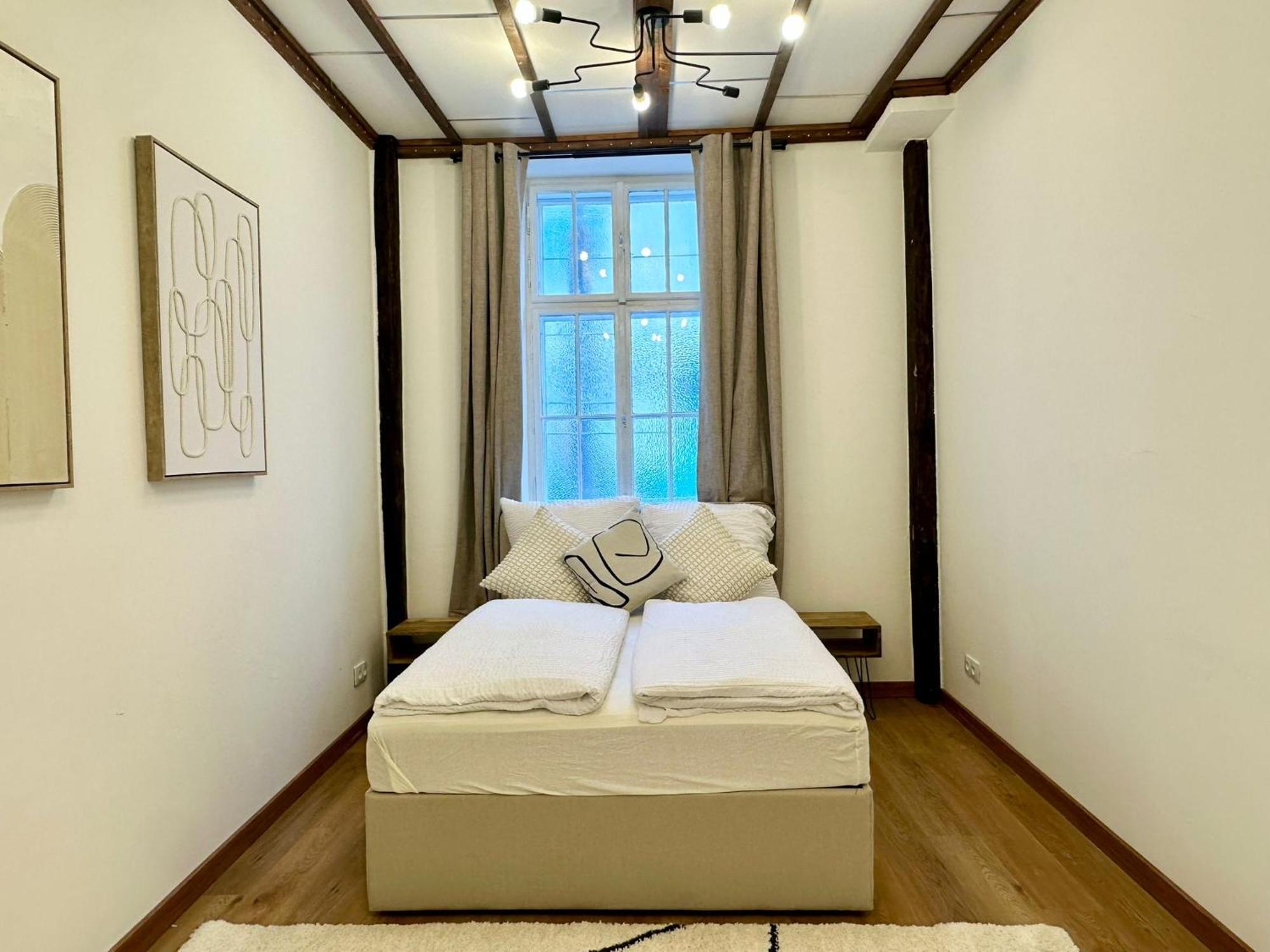 Hidden Garden - Spacious Modern - 1 Min To City Shuttle *