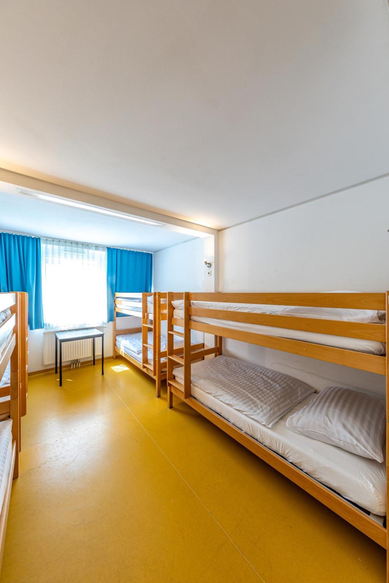 A&t & Albergue Viena