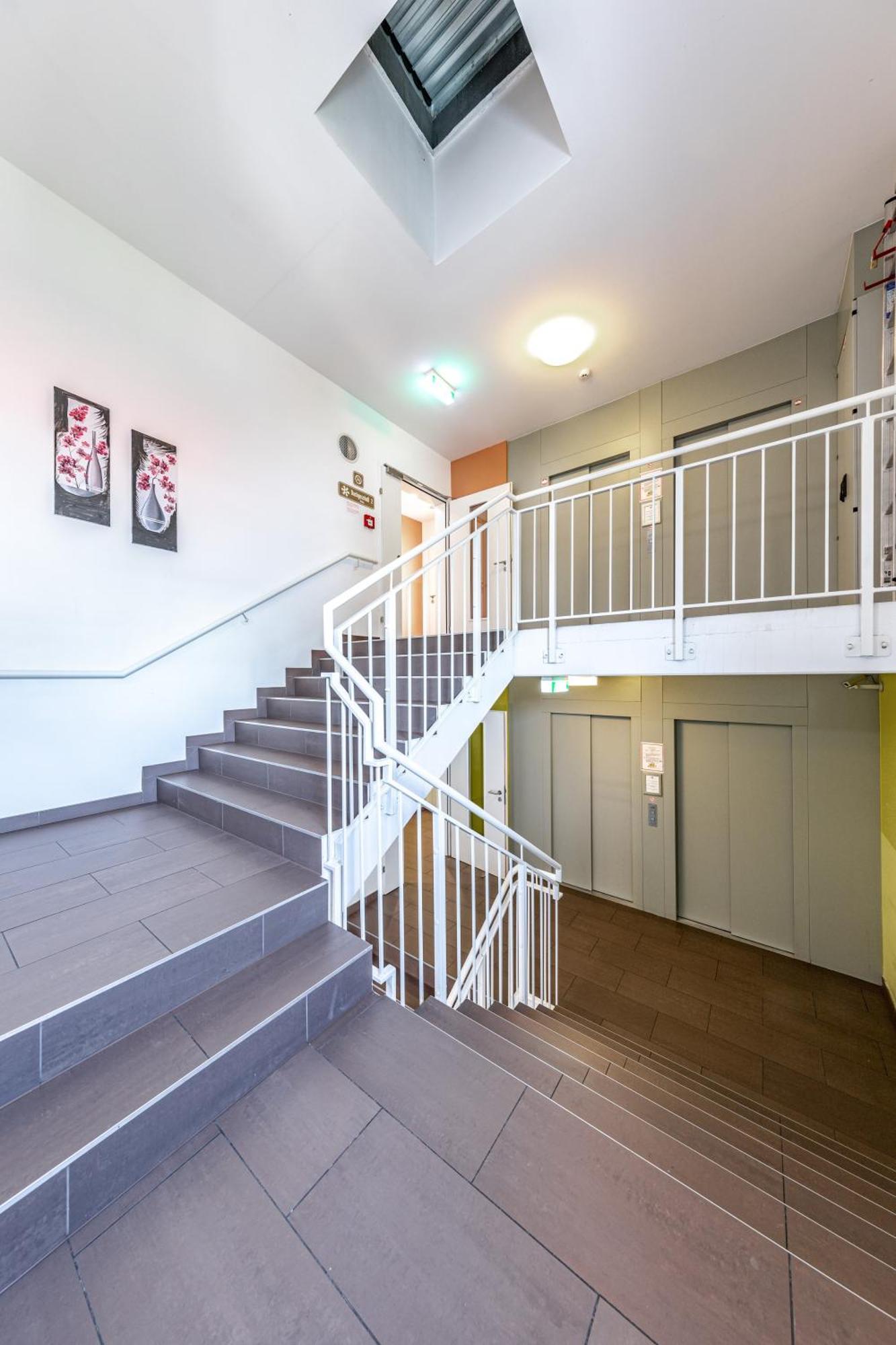 A&t & Albergue Viena