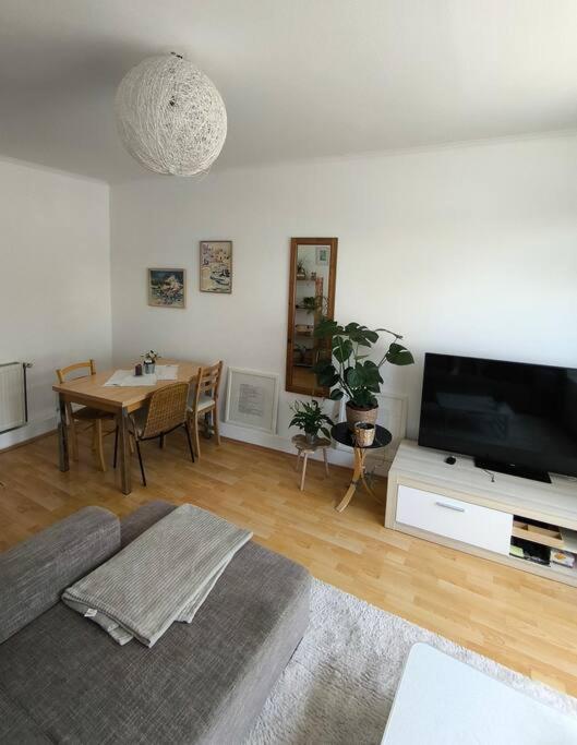 Apartment Bright Flat Next To Schoenbrunn Vienna