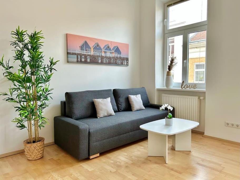 Cosy Studio With Terrace