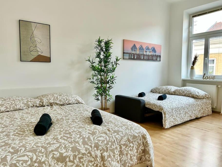 Apartment Cosy Studio With Terrace
