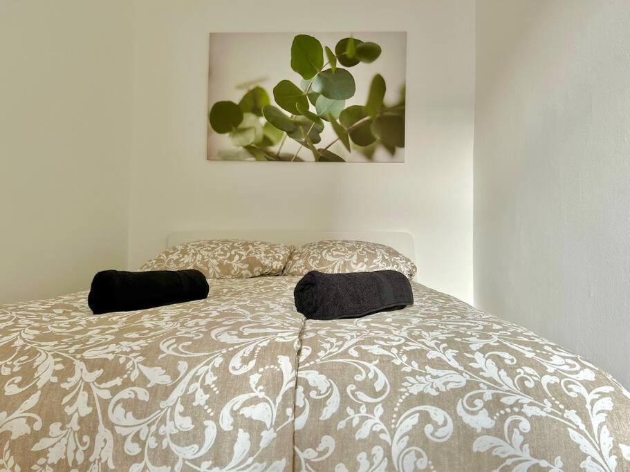 Cosy Studio With Terrace Apartment *