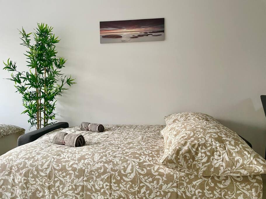 Apartamento Modern Stylish With Garden Viena