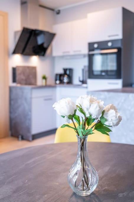 Beautiful In Vienna's Heart 1d Apartment