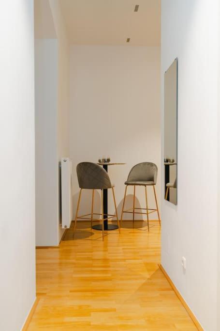 Classy In Josefstadt Perfect For 4-6 * Vienna