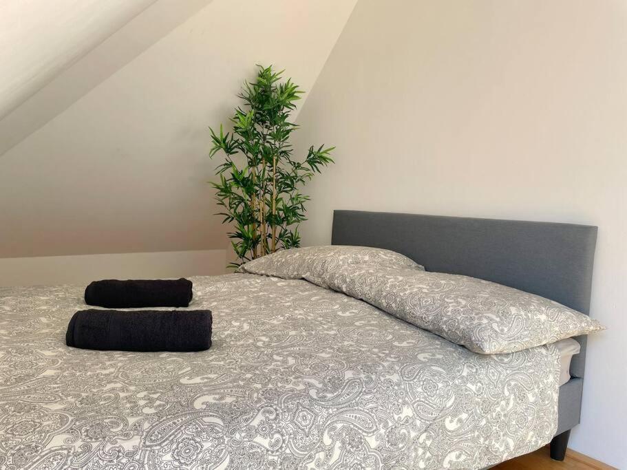 Appartamento Modern & Spacious - Free Parking *