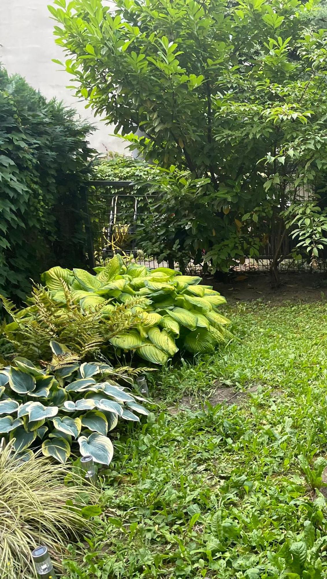Mit Logia Und Kleinen Garten In Zentraler Lage 2 *