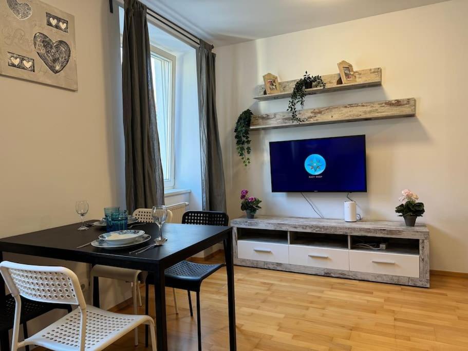 Apartment Fuer 3 Beim Westbahnhof