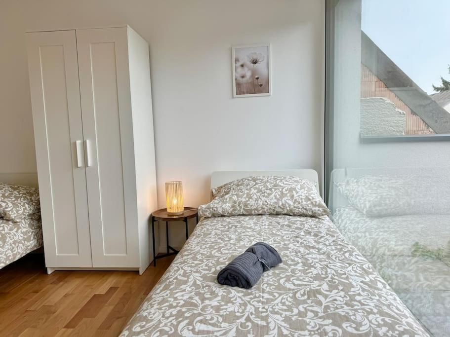 Modern Stylish & Spacious With Balcony Apartment Wien