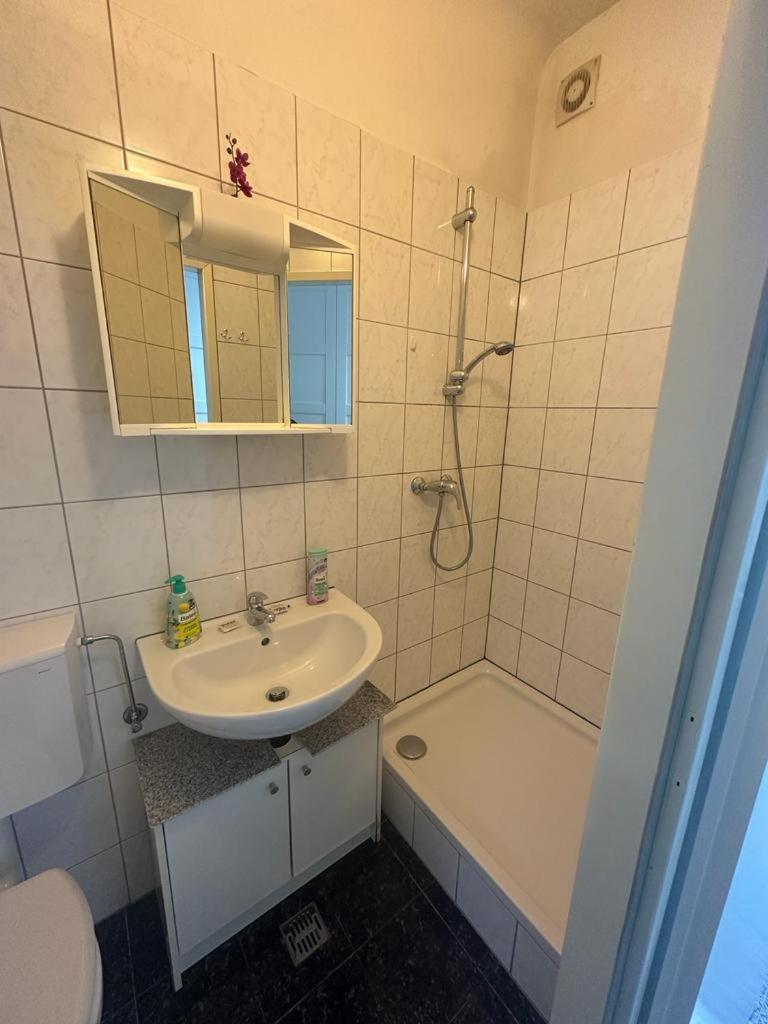 One-bedroom Flat Near Prater And Messe Prater Apartment Wien