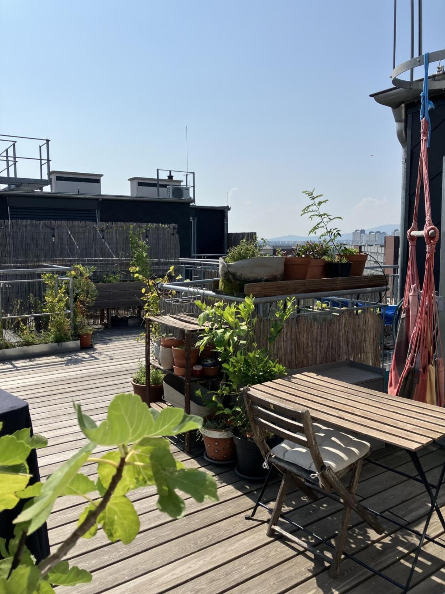 Blackriver Loft Mit Gratis Parkplatz Nahe Schoenbrunn Und U6 *