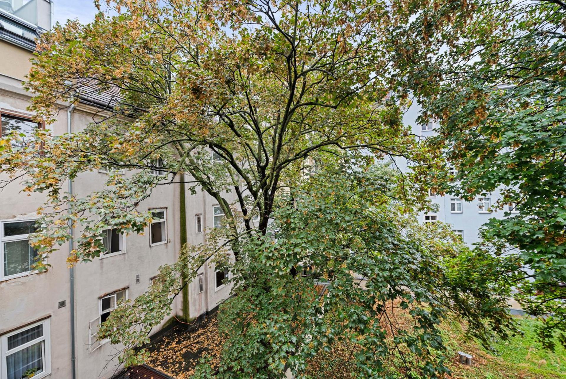 Cozy, Generous - 10 Min To City-centre - Contactless 24h Check-in Apartment Vienna