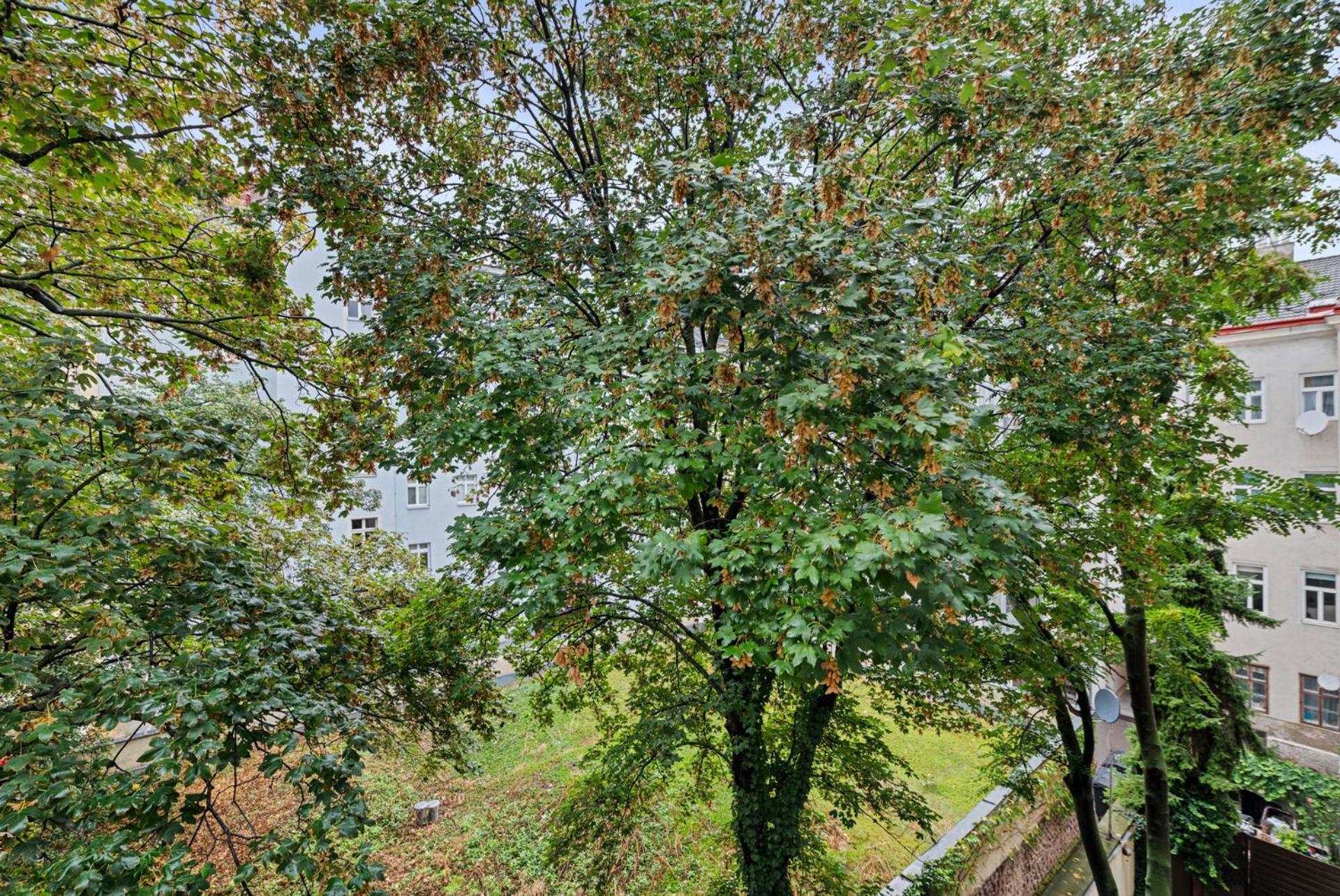 Cozy, Generous - 10 Min To City-centre - Contactless 24h Check-in Apartment *