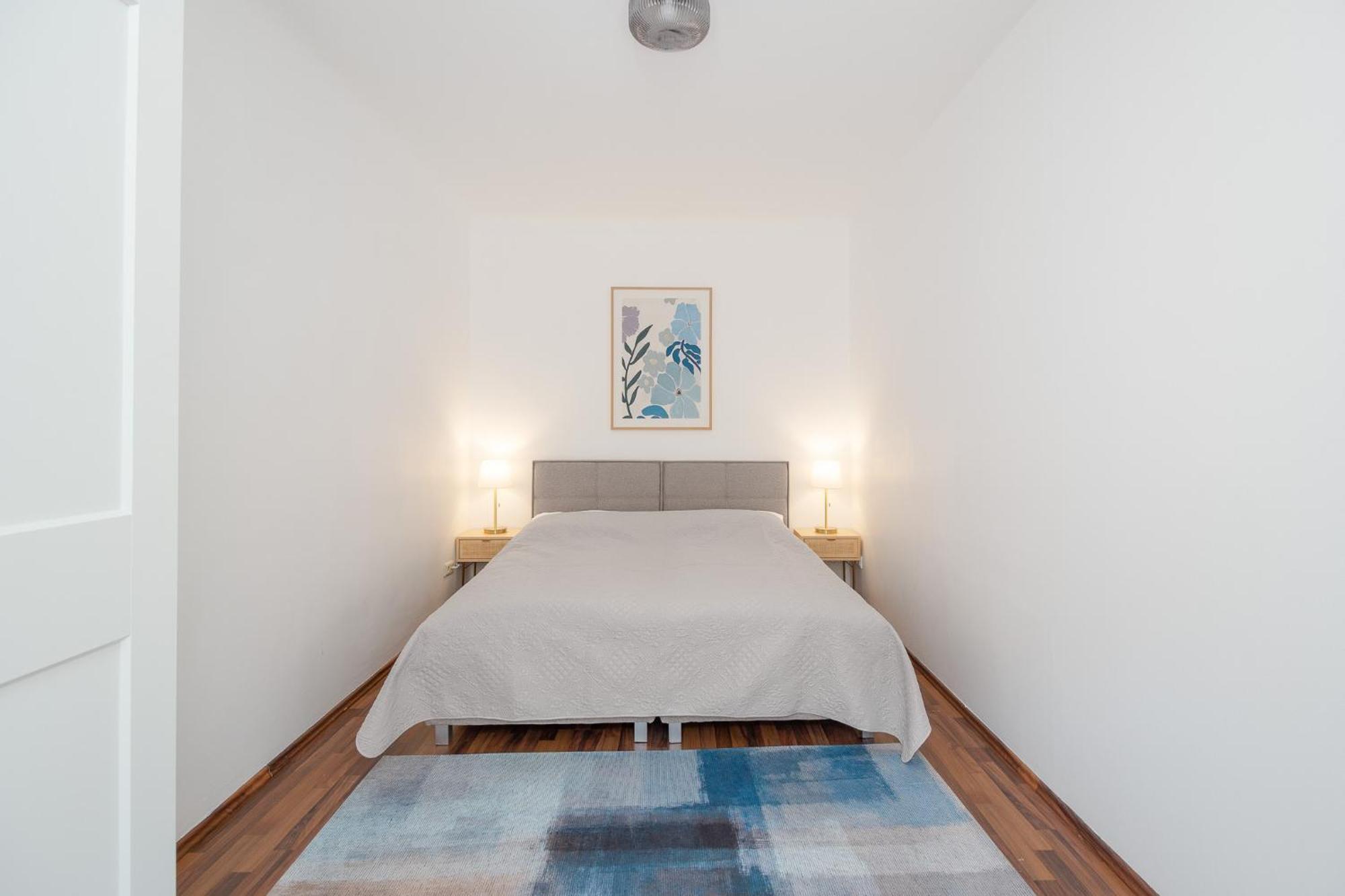 Apartment Ballgasse Vienna