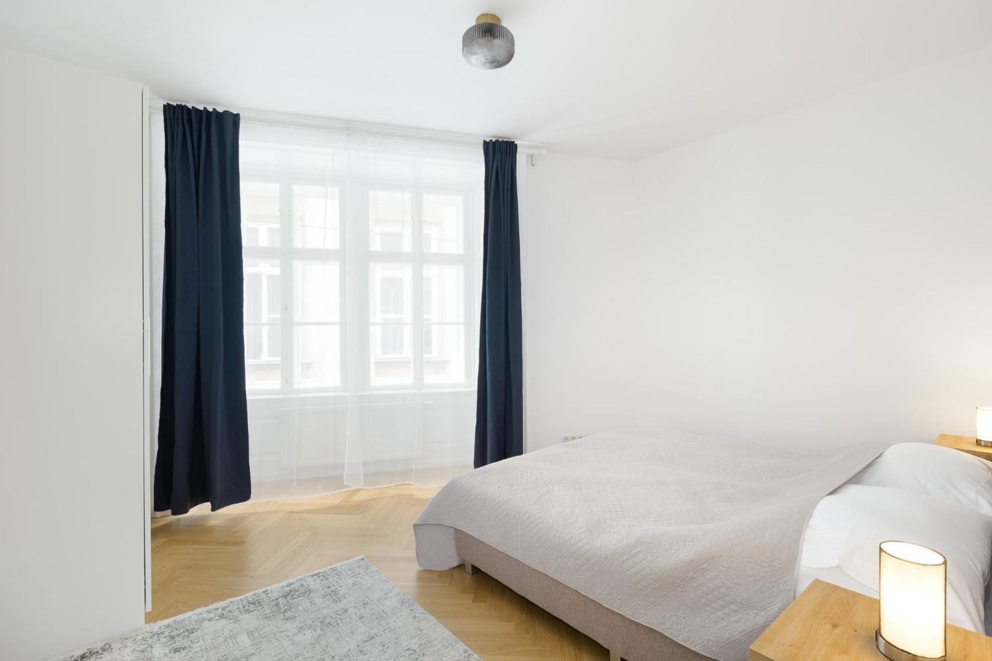 Apartment Ballgasse Luxury Vienna