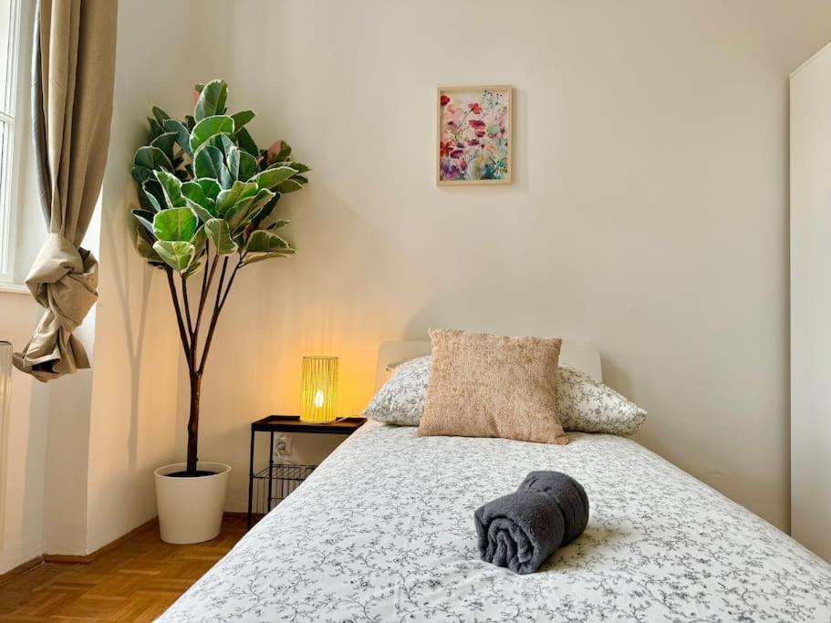 130 M2 Spacious 5 Bedroom Apartment Vienna