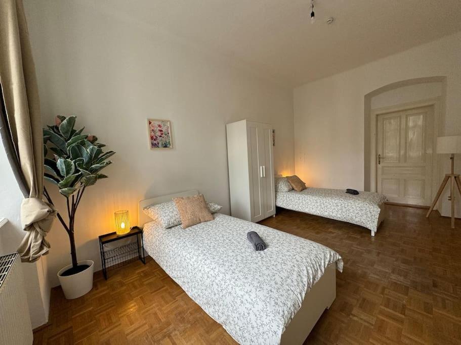 Apartment 130 M2 Spacious 5 Bedroom *