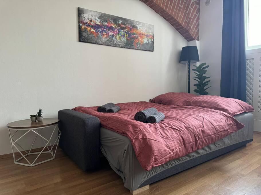 Apartment Classy Premium *