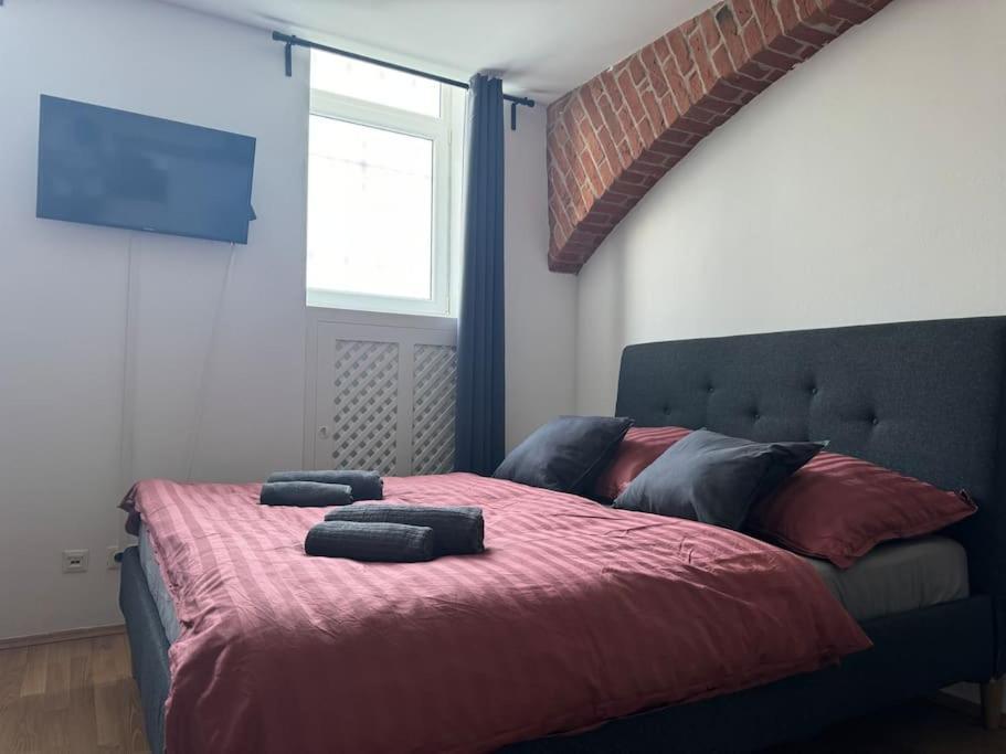Apartment Classy Premium *