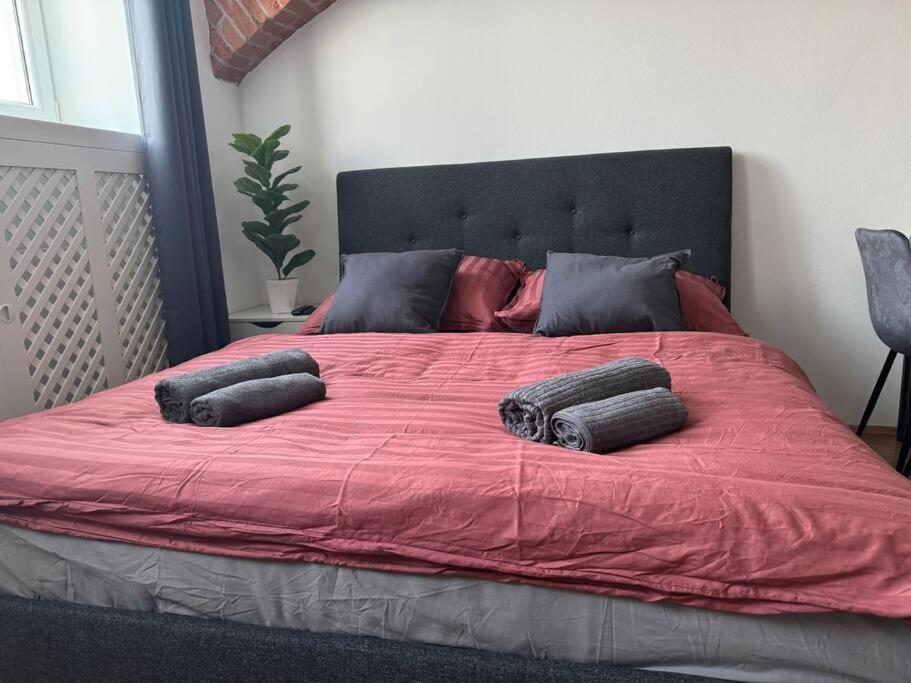 Classy Premium Apartment Wien
