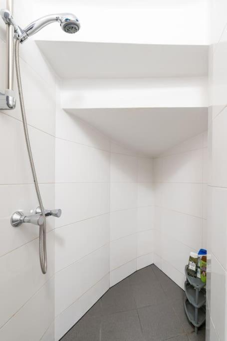 Spacious Belvedere Apartment Vienna
